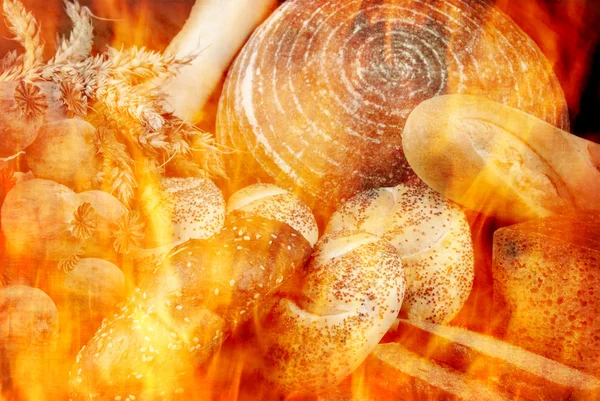 Bread in the owen — Stock Photo, Image