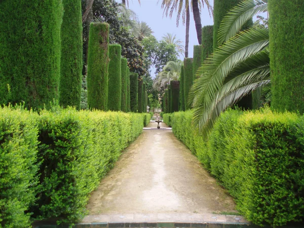 Alhambra parkta — Stok fotoğraf