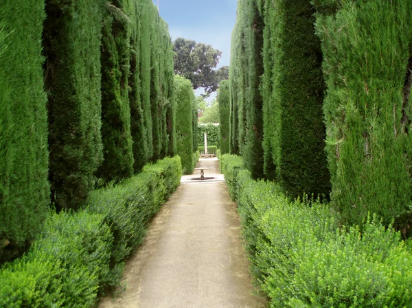 Park w alhambra — Zdjęcie stockowe