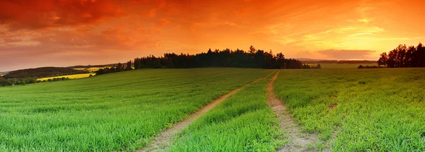 Campo e tramonto — Foto Stock
