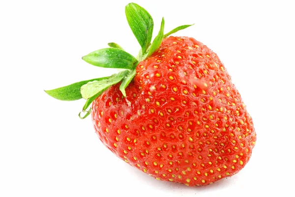 Erdbeere — Stockfoto