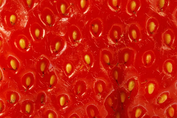 Fragola — Foto Stock