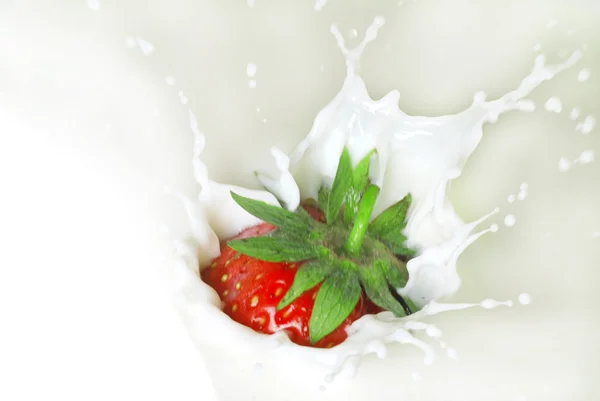 Strawberry in cream — Stock Photo, Image