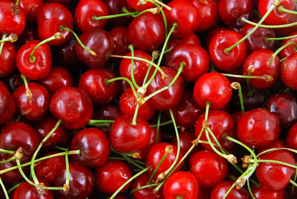 Stock image Cherries