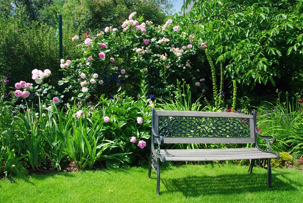 Сад и скамейка — стоковое фото