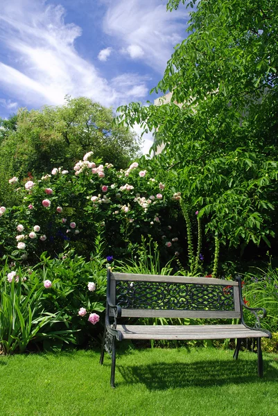 정원 및 벤치 — 스톡 사진