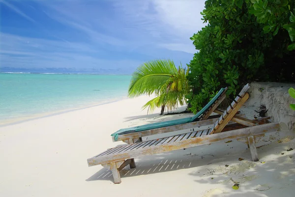 Maldivisk strand - Stock-foto