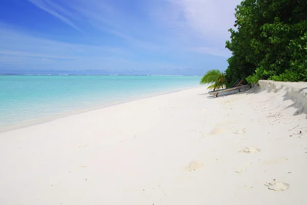Strand auf den Malediven — Stockfoto