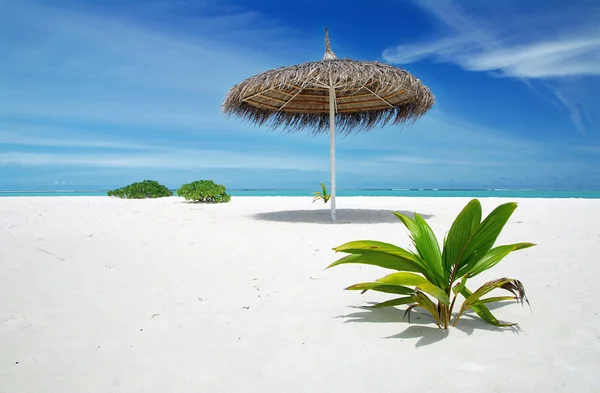 몰디브에서 휴식 — 스톡 사진