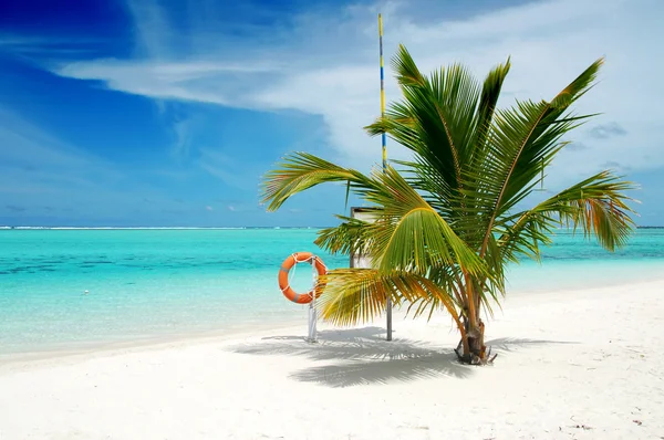 Beach in Maldives — Stock Photo, Image