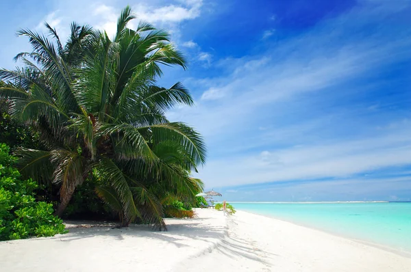 Praia em maldivas — Fotografia de Stock