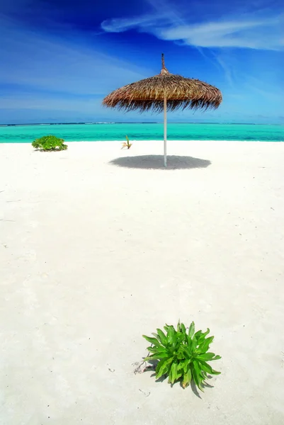 Relaks w Malediwy — Zdjęcie stockowe