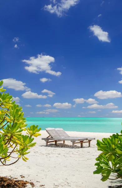 Relax in paradise — Stock Photo, Image