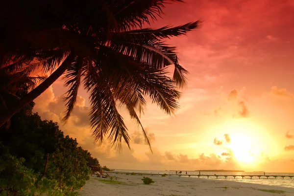 Puesta de sol en las Maldivas — Foto de Stock