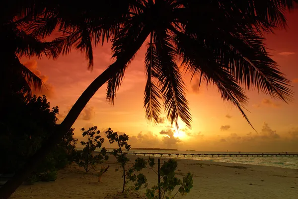 Západ slunce v Maledivy — Stock fotografie