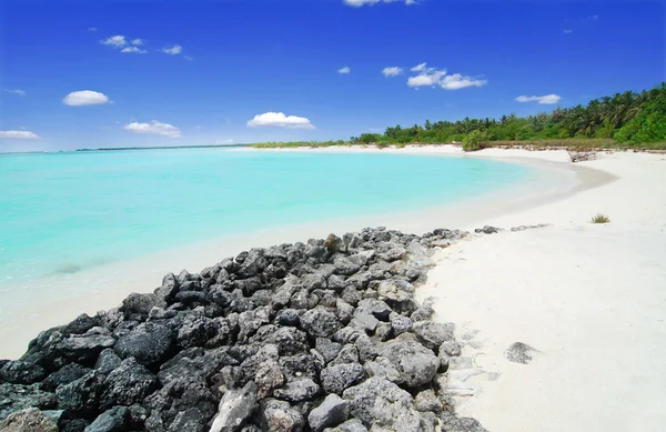 Beach in the Maldives — Stock Photo, Image