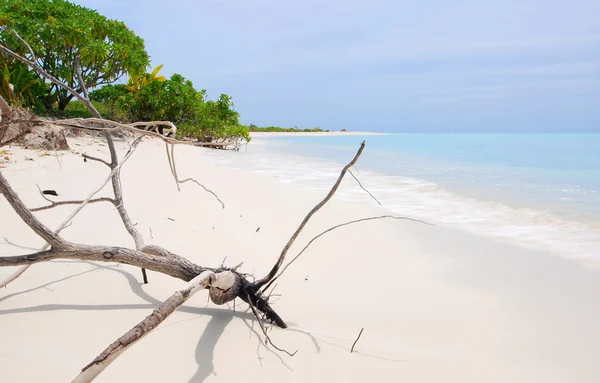 Playa de Maldivas —  Fotos de Stock