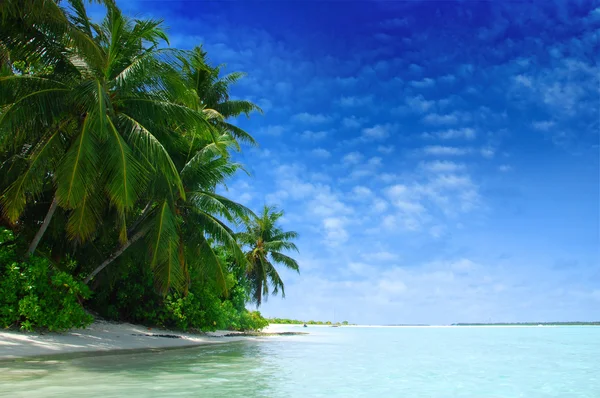 Beach in Maldives — Stock Photo, Image