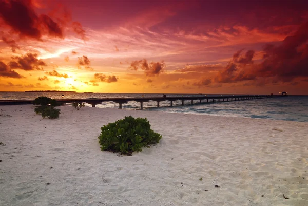 Sunset and jetty — Stock Photo, Image