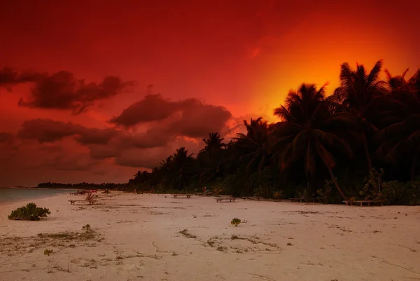 Günbatımı üzerinde bir plaj — Stok fotoğraf