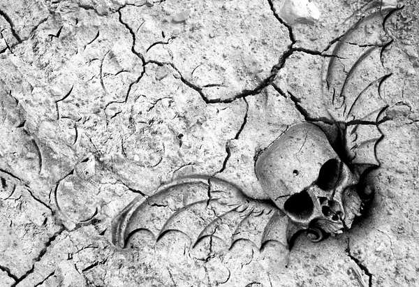 土壌の死 — ストック写真