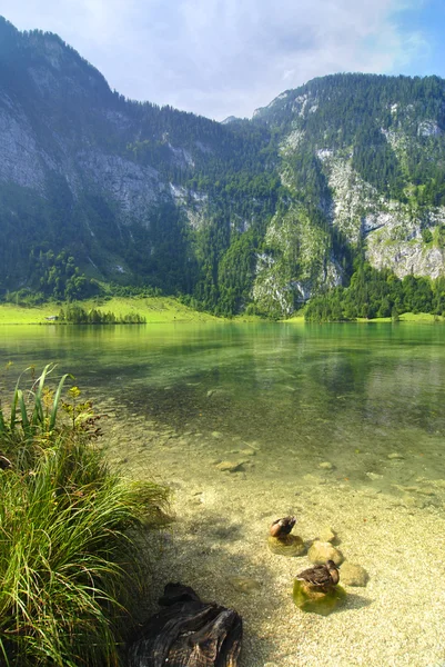Alpensee — Stockfoto