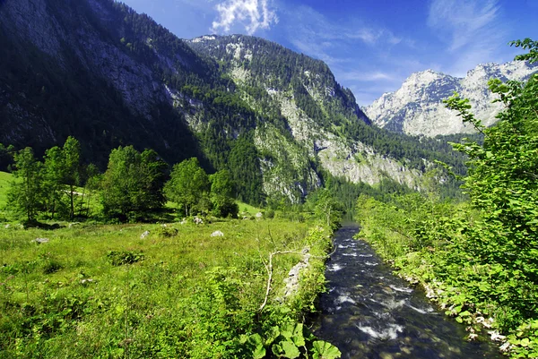 Beautiful Alpine brook — Stock fotografie