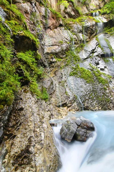 Альпийский ручей — стоковое фото