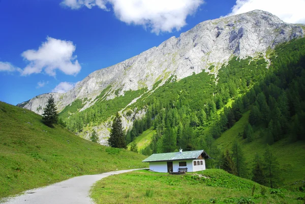 Huis in de Alpen — Stockfoto