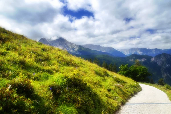 Alpina ängen och vägen — Stockfoto