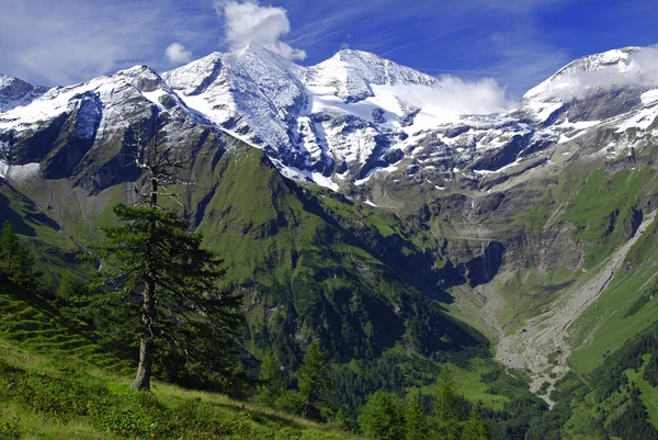 Alpes - Grossclockner — Foto de Stock