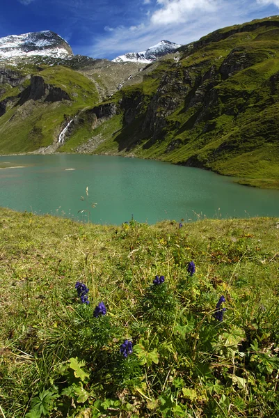 Alpské jezero — Stock fotografie