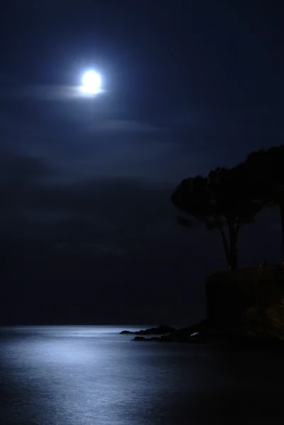 Місяць над морем — стокове фото