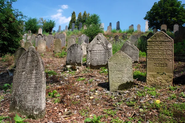 Ancient jewish cemetery — Stock Photo, Image