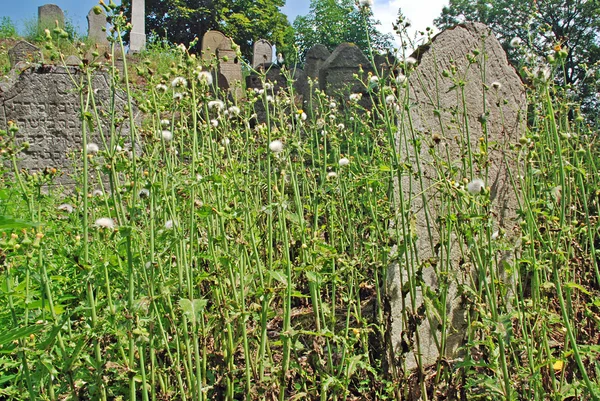 Eski mezarlık — Stok fotoğraf