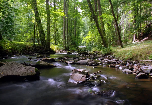 Mountain creek — Zdjęcie stockowe