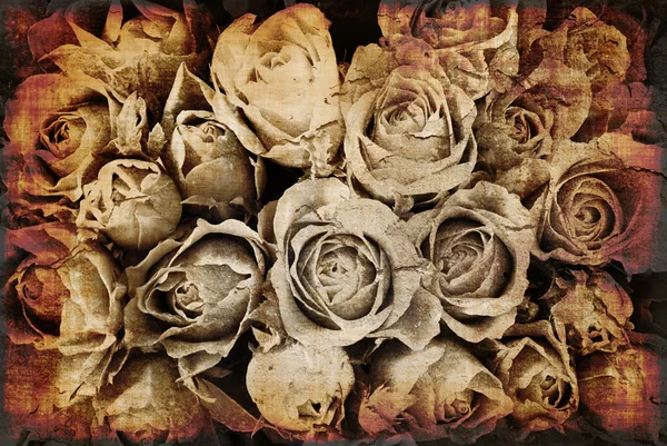 Grunge Rosas fundo — Fotografia de Stock