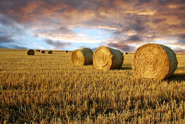 Straw rolls and dramatic sky — Stock Photo, Image