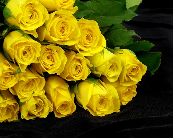 在黑色的黄玫瑰 — 图库照片