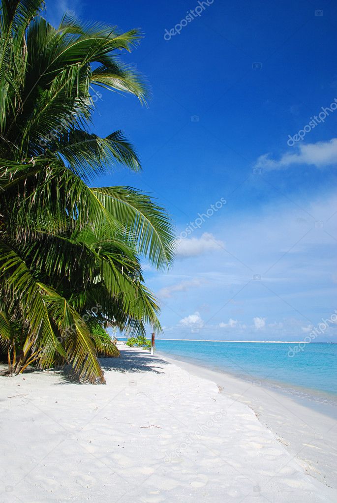 Beach in Maldives