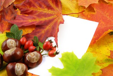 Autumn background clipart