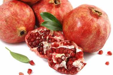 Pomegranate clipart