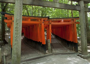 Fushimi Inari Taisha ünlü shinto türbesi