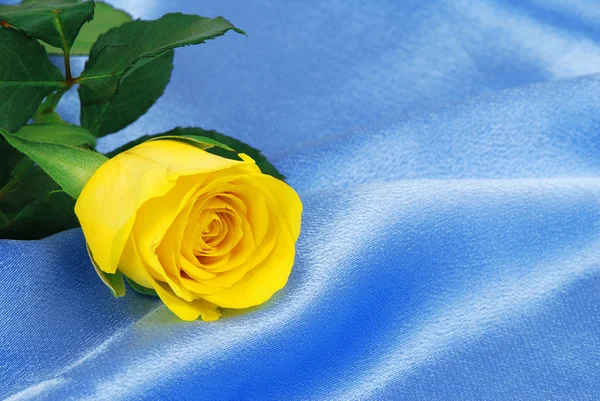 Желтая роза на атласе — стоковое фото
