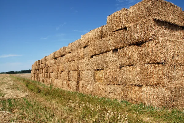 Pile of straw rolls — Stock Photo, Image