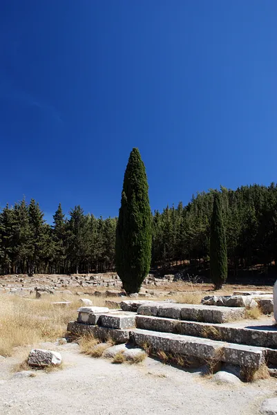 Кипарис і руїни — стокове фото