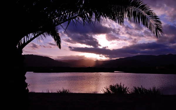 Tropikal günbatımı ve palm — Stok fotoğraf