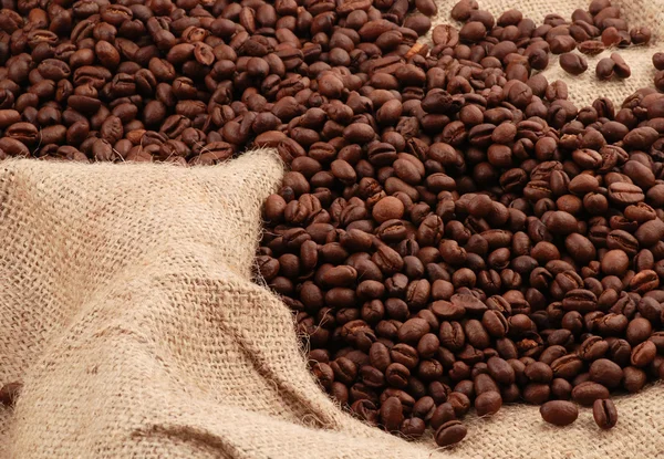 stock image Coffee from sack