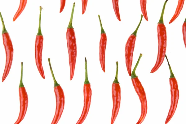 stock image Chili