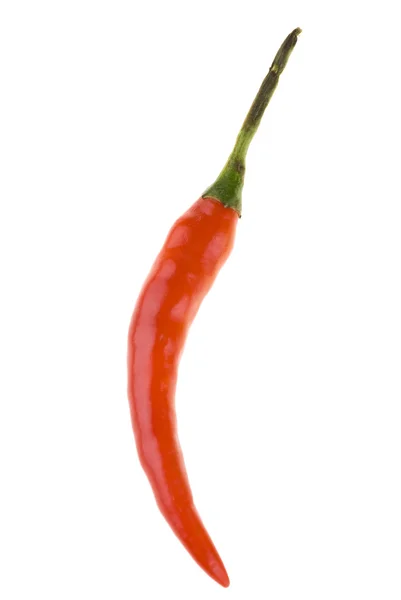 stock image Chili